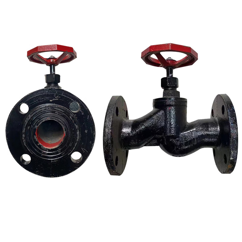 Globe Valve