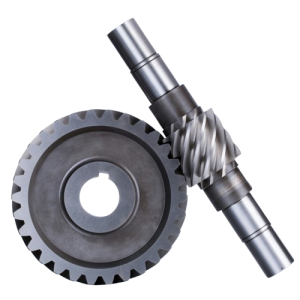 Precision metal worm gear Customization